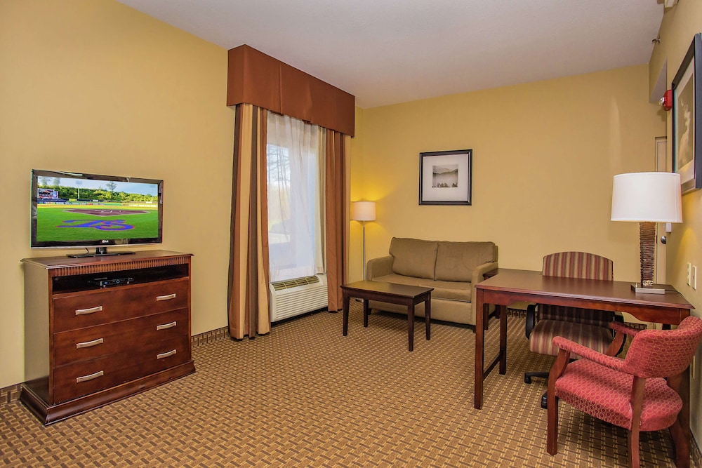 Hampton Inn & Suites Sevierville @ Stadium Drive - photo 12