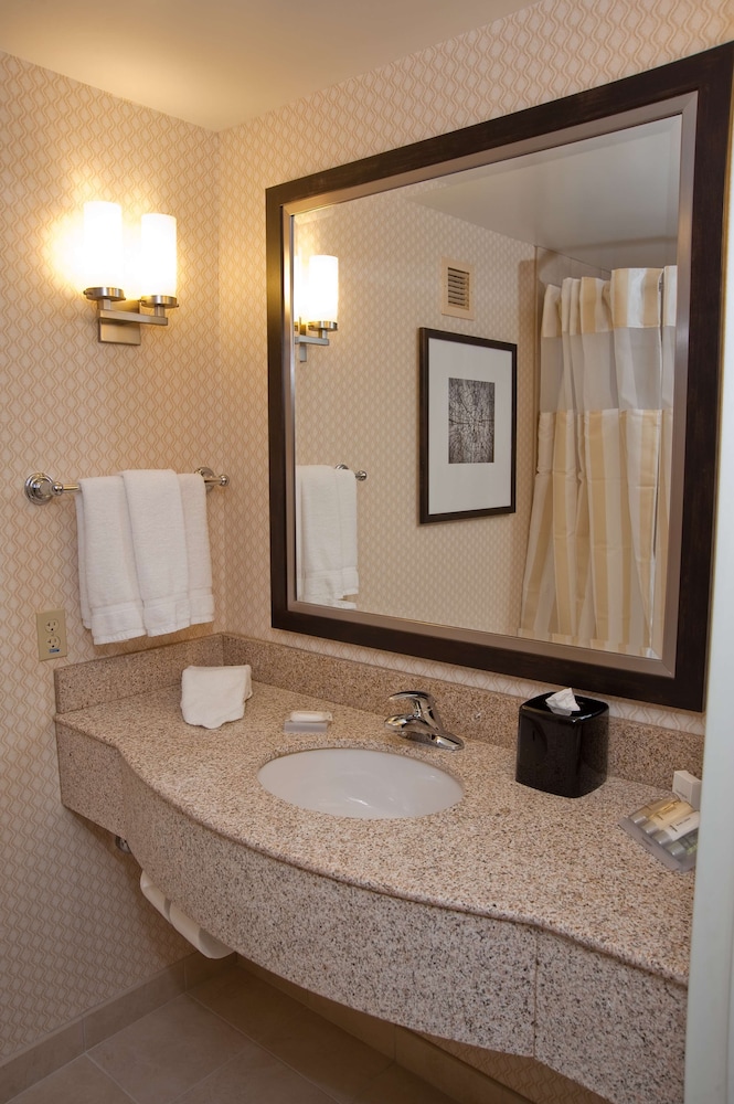 Hilton Garden Inn St. Louis Airport - photo 31