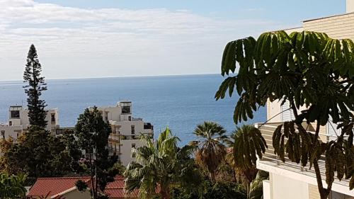 Dorisol I Casa Branca Apartment by Rentallido — 4-Star Luxury Hotel in Funchal, Portugal