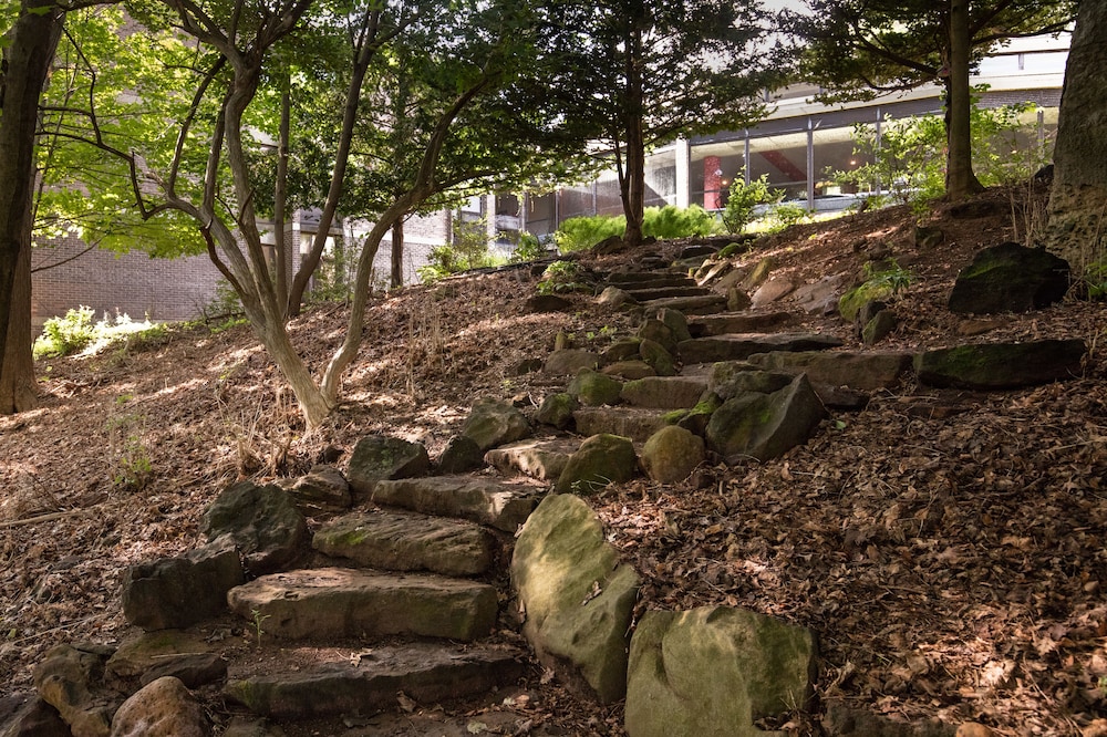 Rutgers University Inn and Conference Center - photo 22