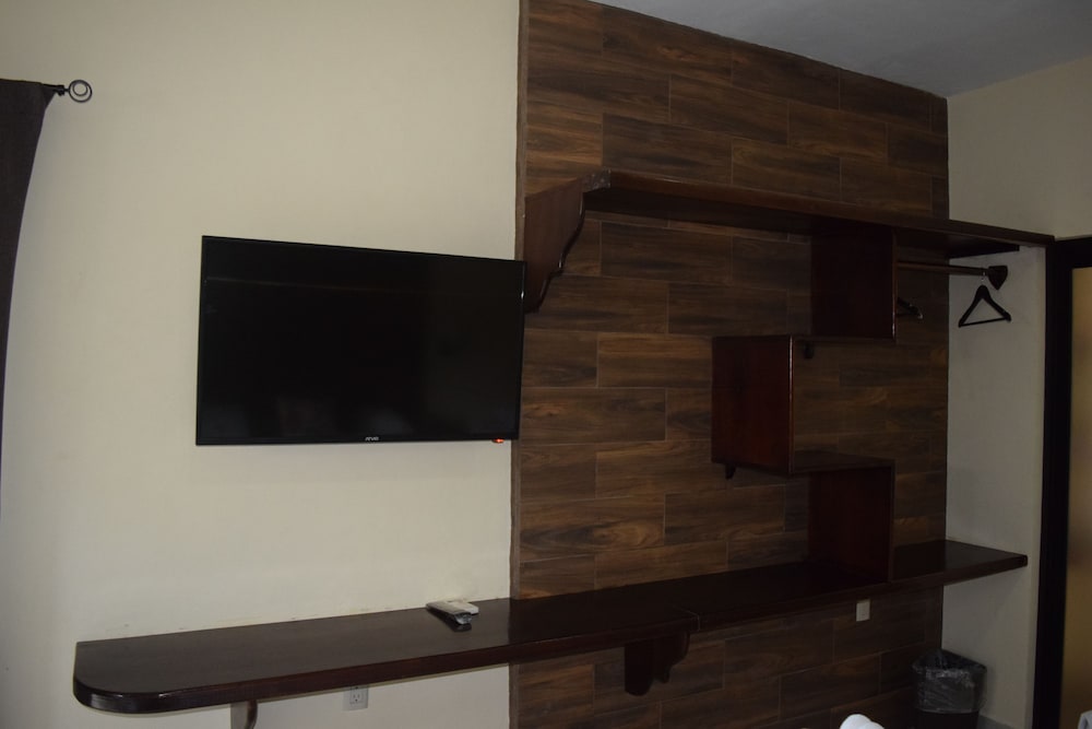 Television