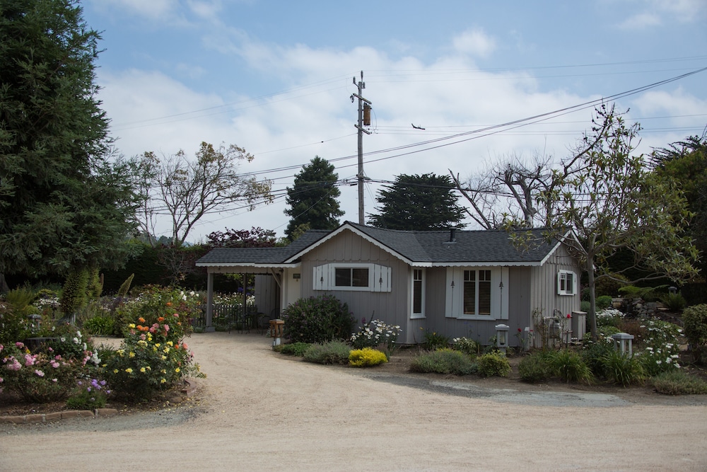 Carmel River Inn & Cottages - photo 9
