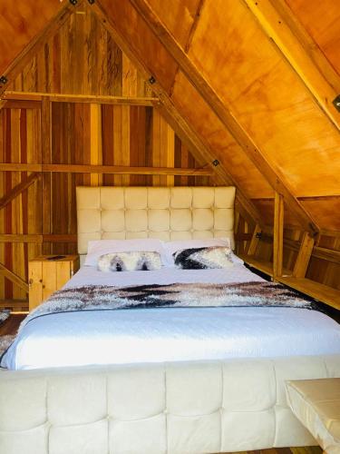 Gemma Eco Glamping in Banos, Ecuador