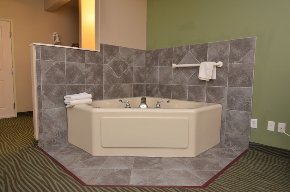 AmericInn by Wyndham Des Moines Airport - photo 33