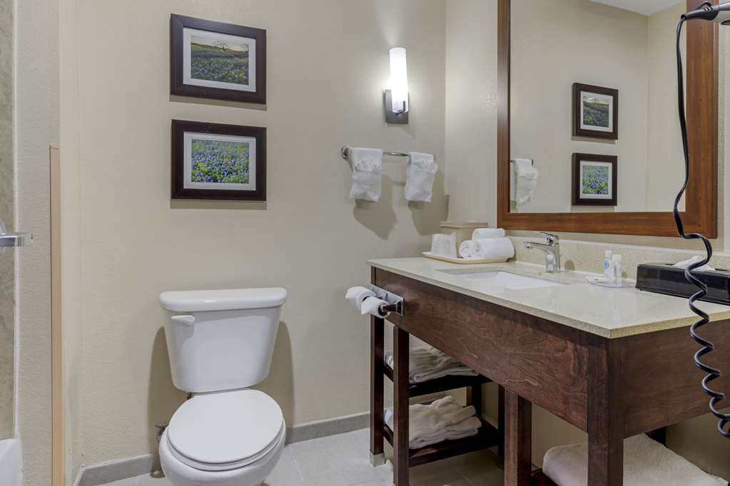 Comfort Suites Benbrook Fort Worth Southwest - photo 9