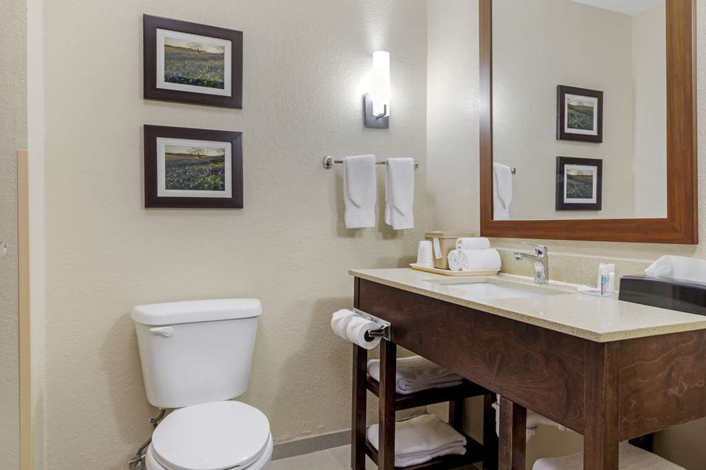 Comfort Suites Benbrook Fort Worth Southwest - photo 7