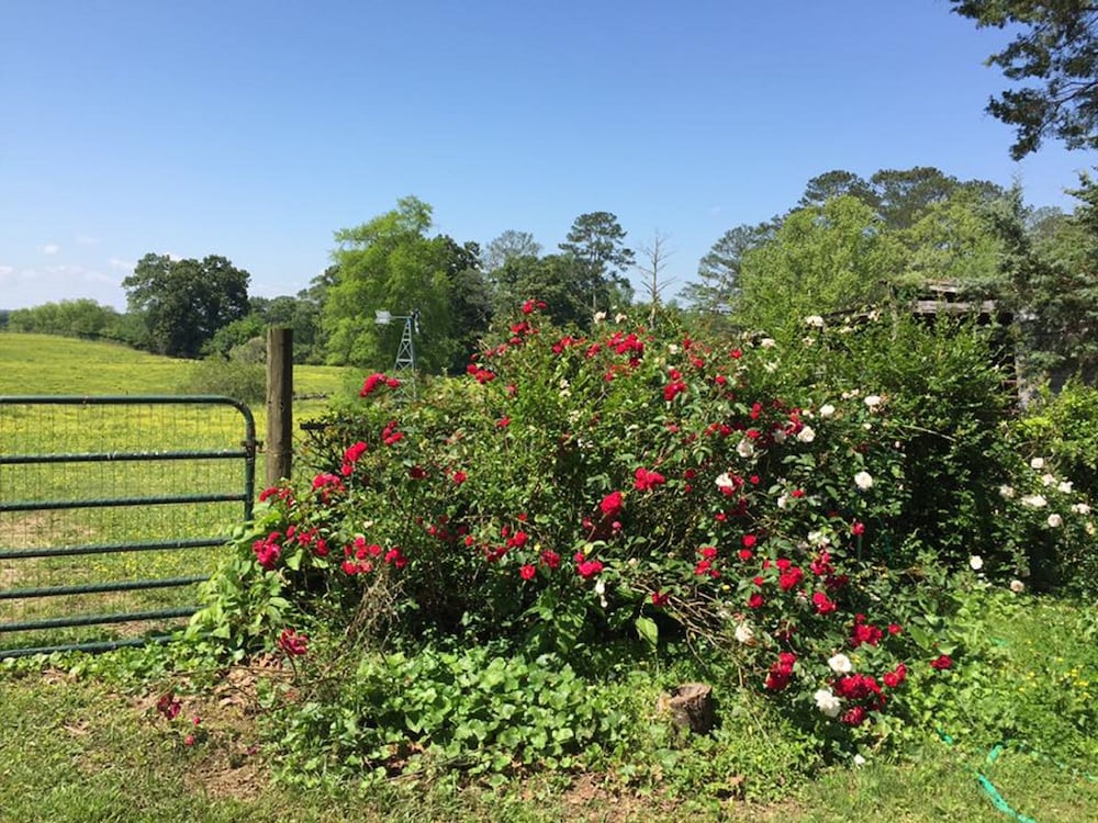 Seventy four Ranch - photo 40