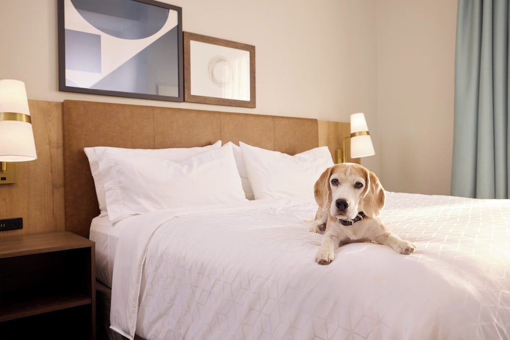 Staybridge Suites Tucson Airport by IHG - photo 39