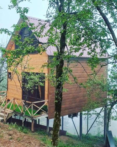 Time House