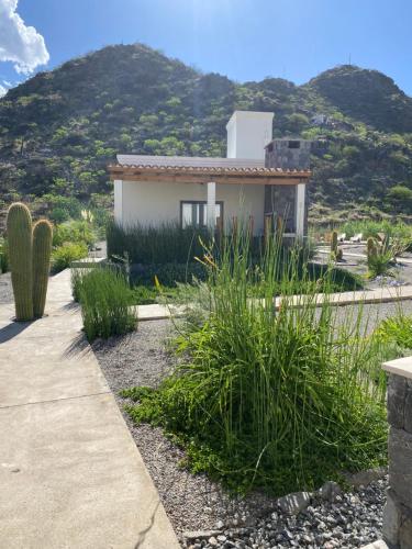 Complejo Los Olivos — Cafayate — photo 4