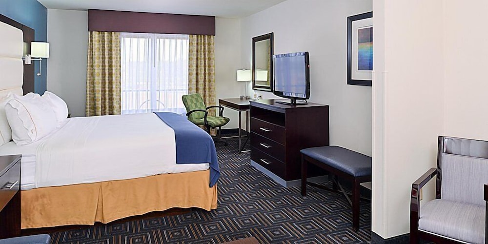 Holiday Inn Express & Suites McCalla Birmingham West by IHG - photo 4