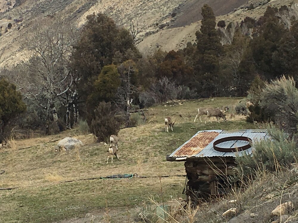 Little Trail Creek Cabins - photo 89
