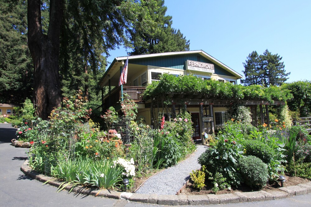 Fern Grove Cottages - photo 4