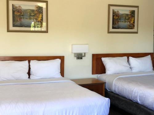 Monticello Motel - photo 23