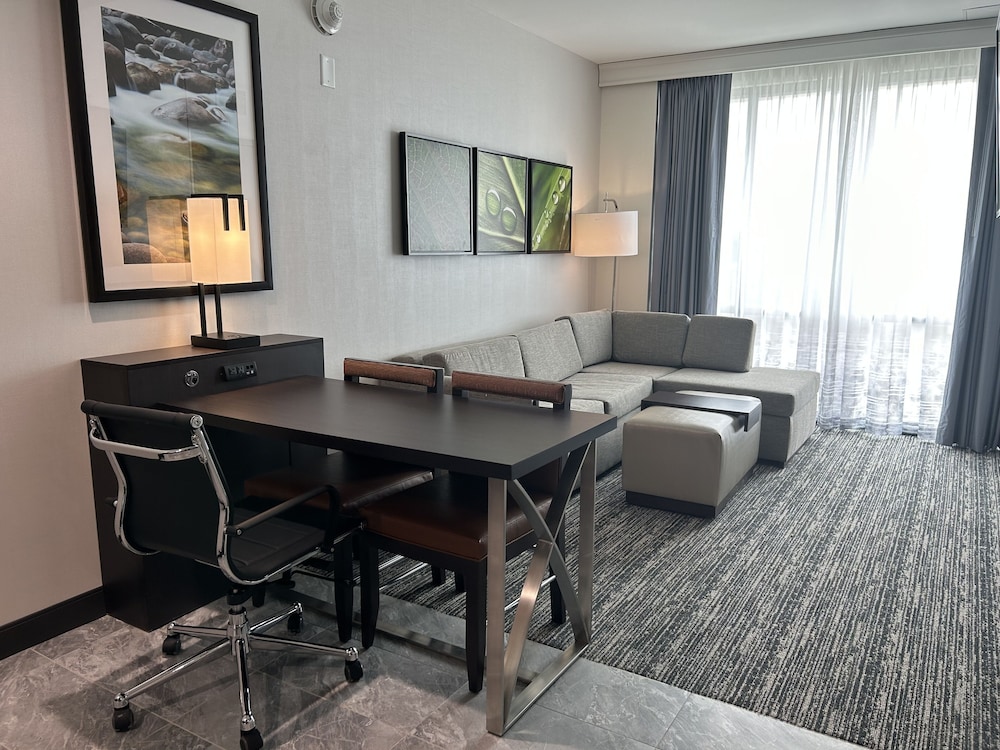 Embassy Suites By Hilton Alpharetta Halcyon - photo 14