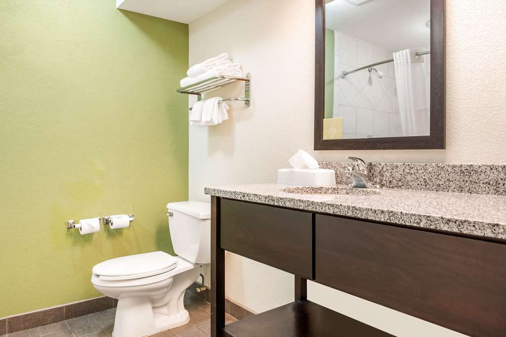 Sleep Inn & Suites Columbus South - photo 11