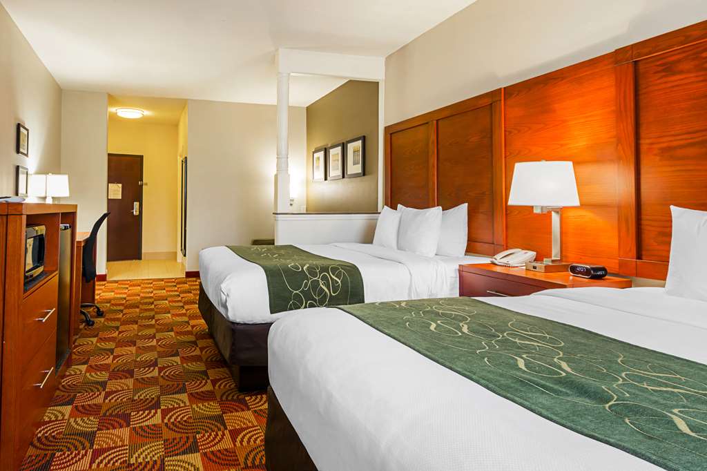Comfort Suites Lake Charles - photo 19