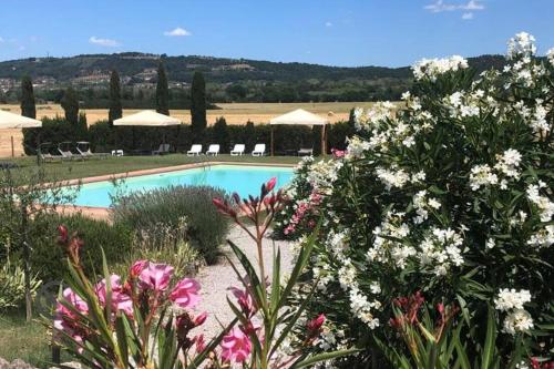 Cozy home in countryside Asciano Siena renovated — 4-Star Luxury Hotel in Asciano, Italy