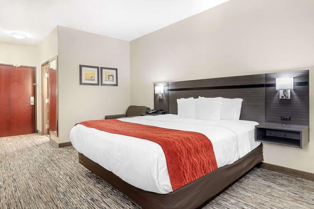 Comfort Inn Orange I 10 - photo 9