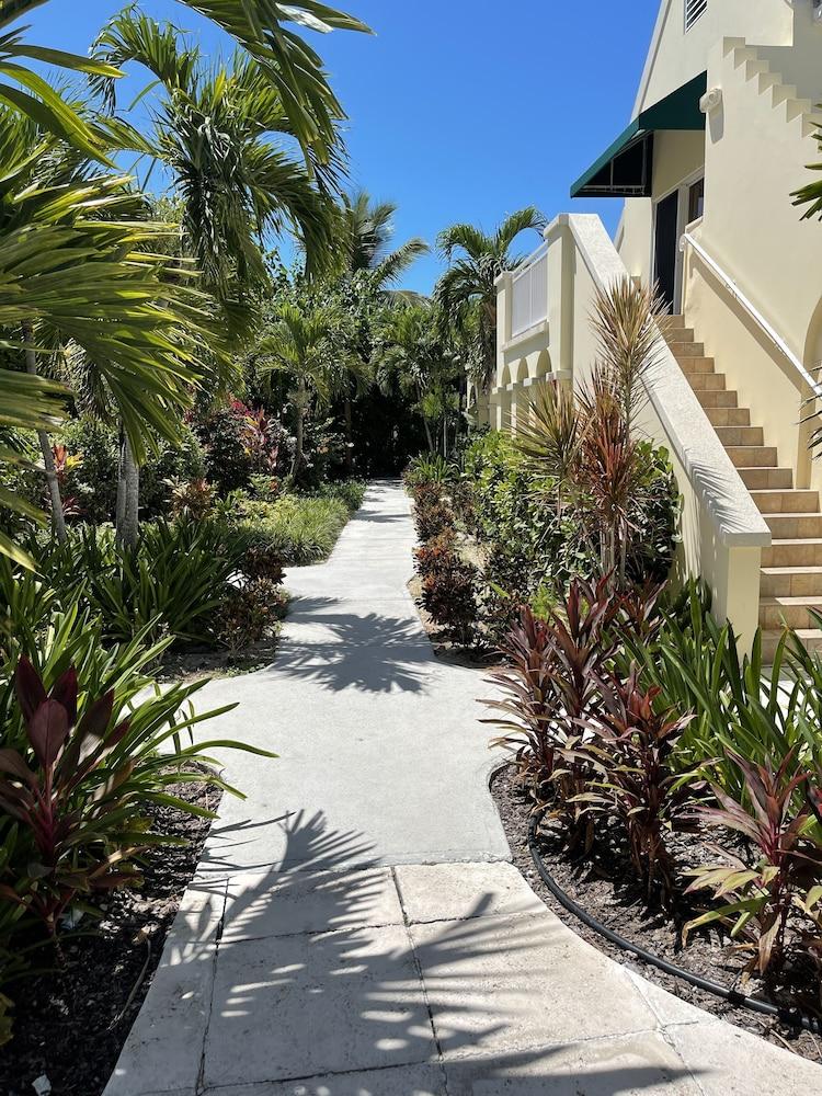 Reef Residences - last minute hotel in Providenciales
