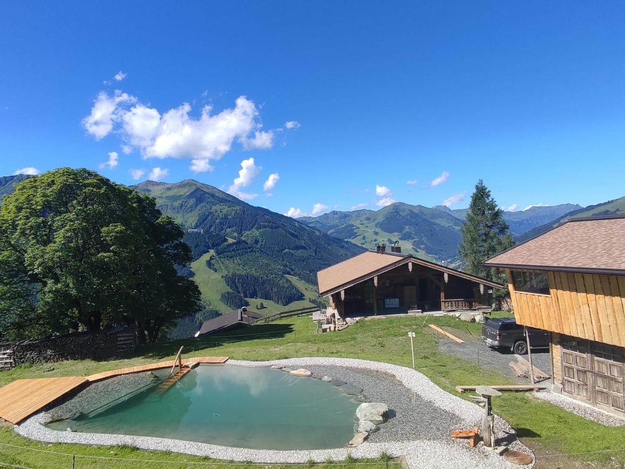 Sinnlehen Alm — Saalbach — photo 2