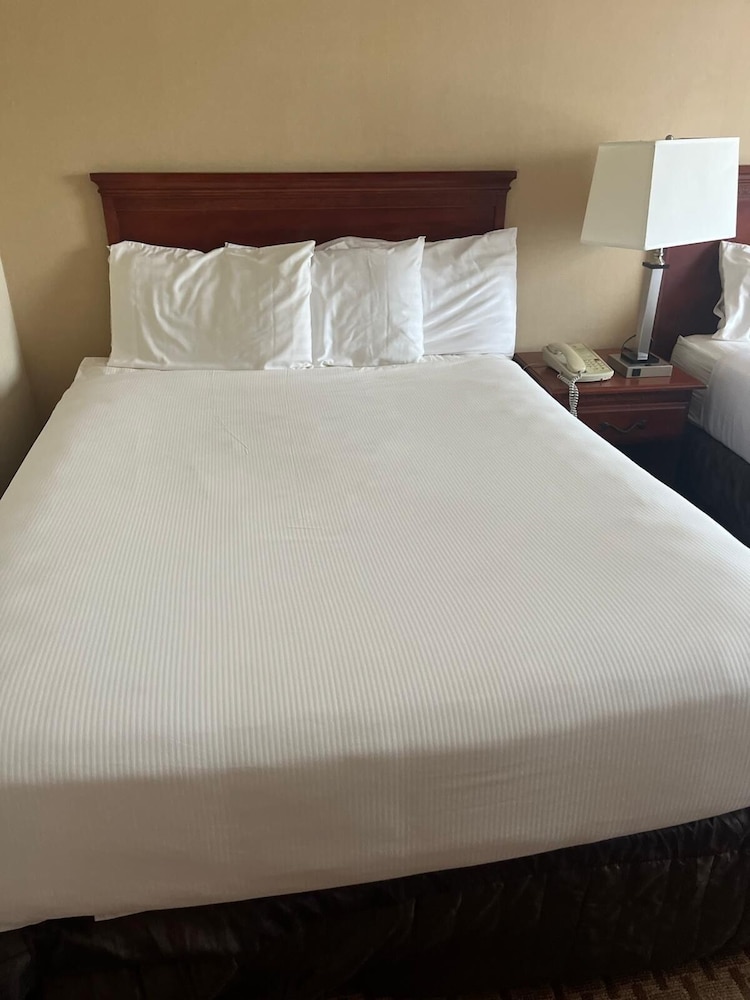 Chateau Resort & Conference Center - photo 8