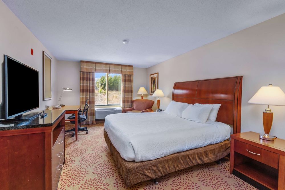 Hilton Garden Inn Starkville - photo 46