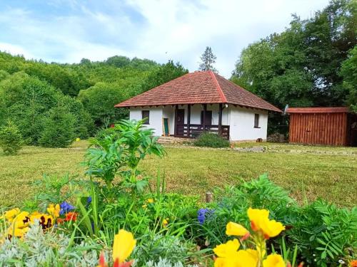 IT Hutorok in Perechyn, Ukraine