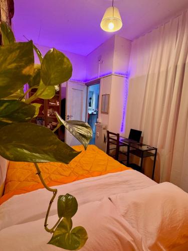 Romoli Rooms And Suites