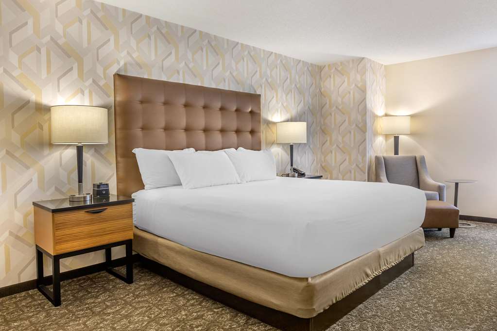 Drury Inn & Suites Southwest St. Louis - photo 23