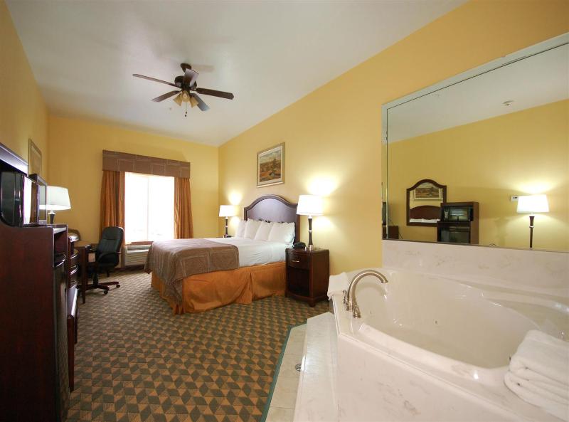 Best Western Plus Manvel Inn & Suites - photo 10