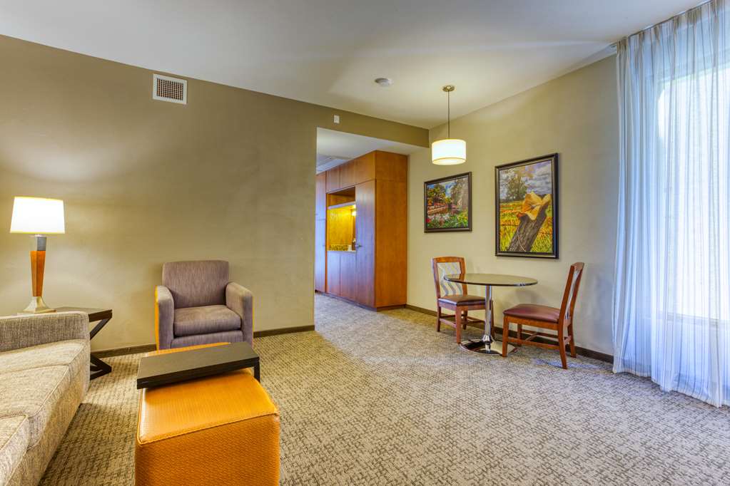 Drury Plaza Hotel San Antonio Riverwalk - photo 87