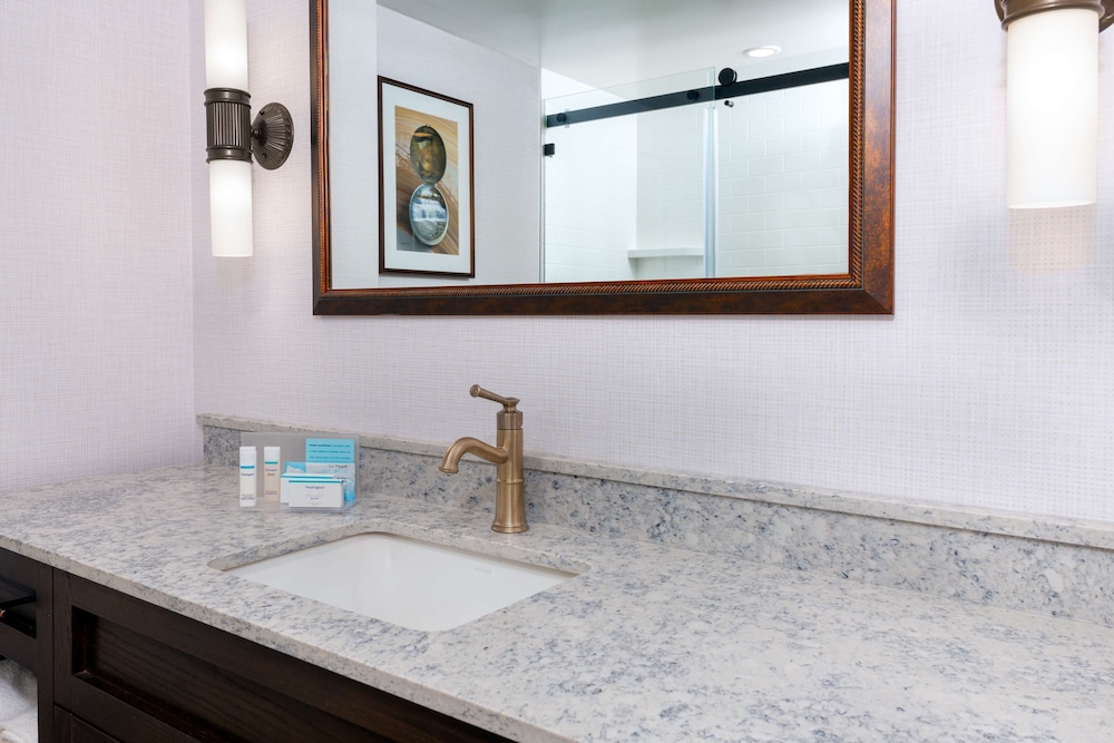 Hampton Inn Buffalo Williamsville - photo 27