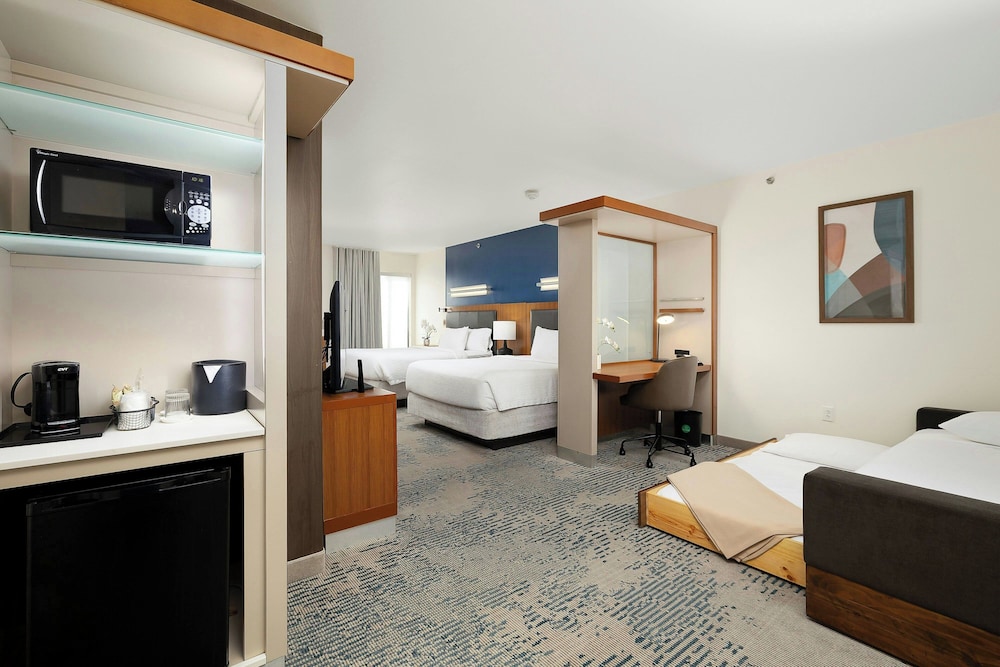 SpringHill Suites by Marriott McAllen Convention Center - photo 14