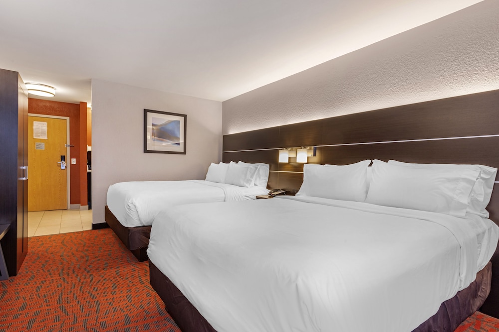 Holiday Inn Express Metropolis - photo 13