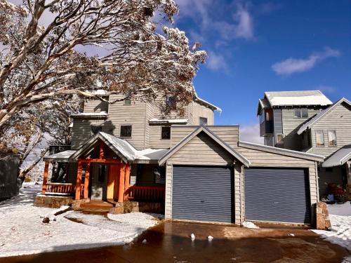 Mopoke in Dinner Plain, Australia