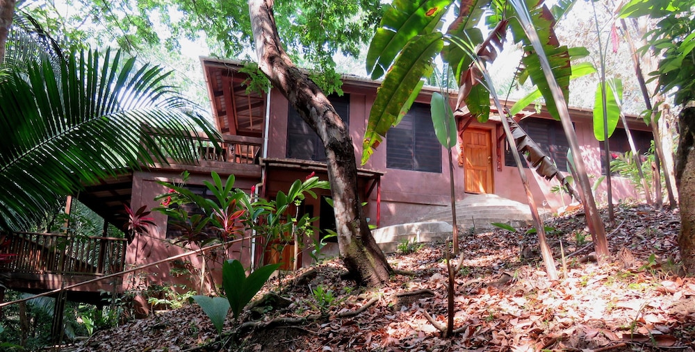 The Farm Inn — Placencia — photo 2