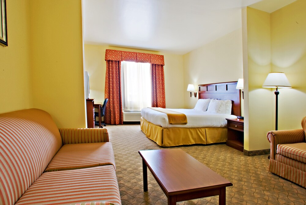 Holiday Inn Express & Suites Levelland by IHG - photo 9