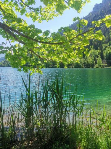 Ferienhaus Saalachau — Bad Reichenhall — photo 5