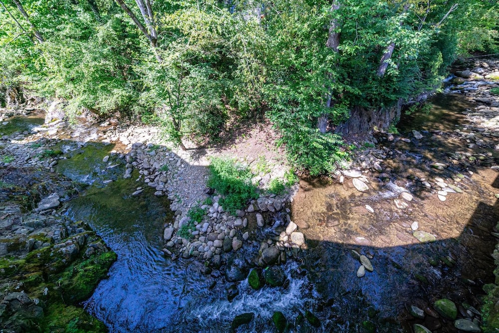 Bear Creek Inn - photo 25
