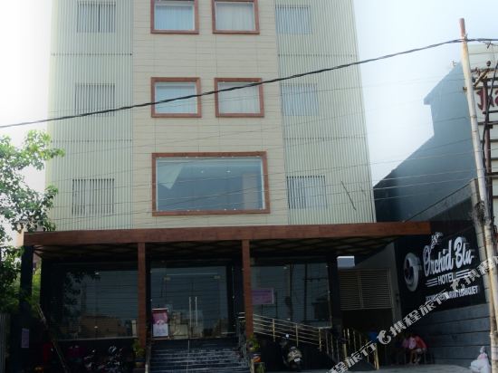 Orchid Blu in Aligarh, India