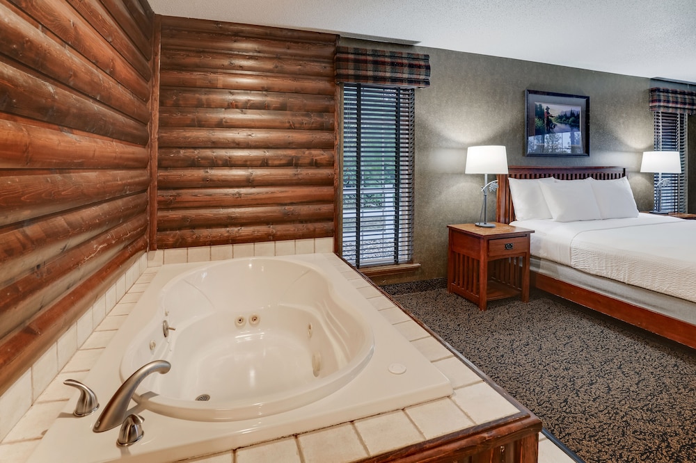 Stoney Creek Hotel Des Moines Johnston - photo 45