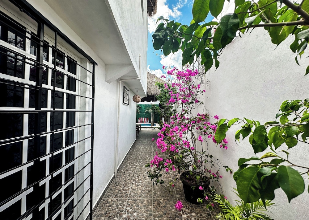 La Perle Noire Dive Hotel Cozumel in Cozumel, Mexico