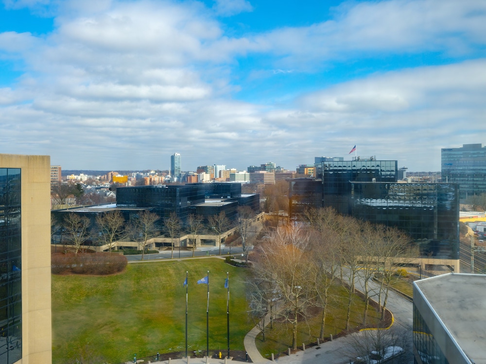 DoubleTree by Hilton Stamford - photo 70
