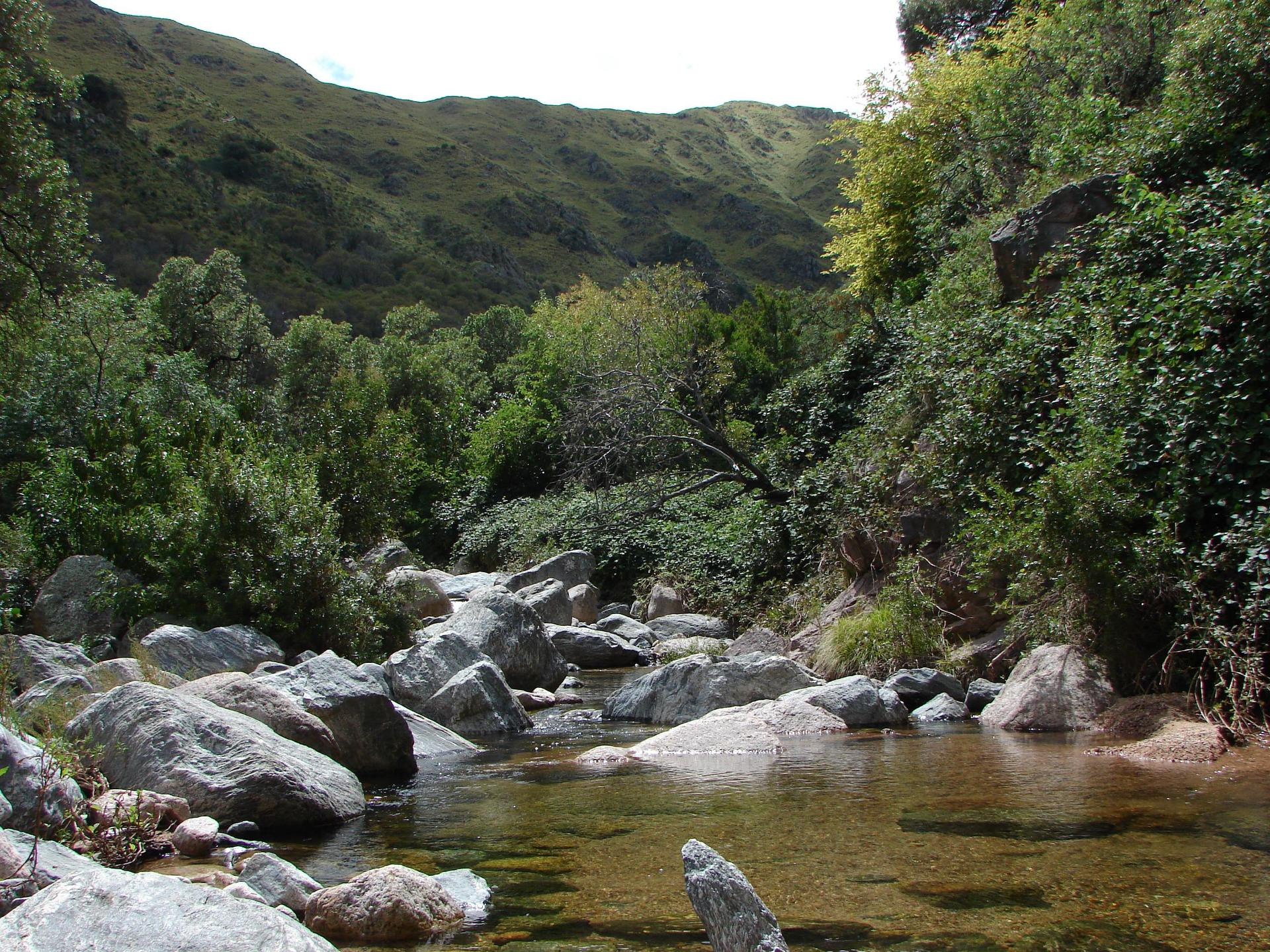 Manantial de Carpinteria in Merlo, Argentina