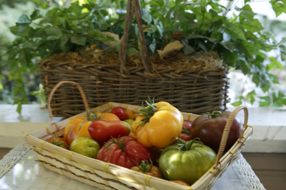 Kelley & Young Wine Garden Inn - photo 42