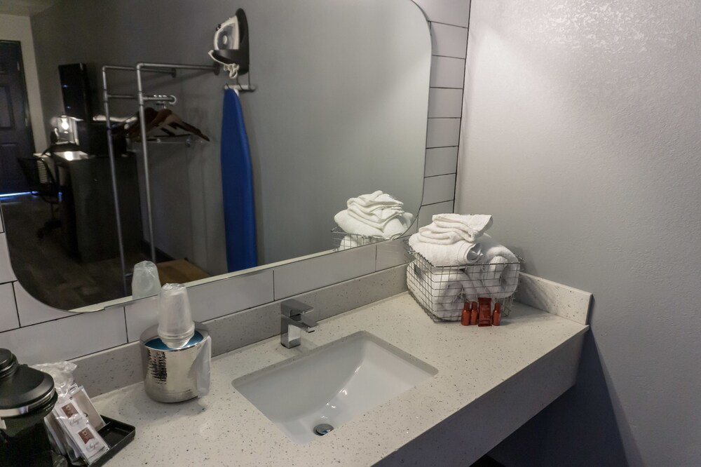 Downtown Phoenix Hotel - photo 24