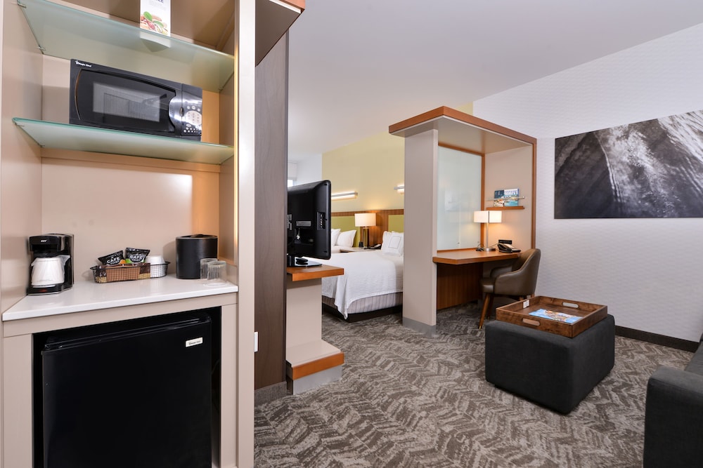 SpringHill Suites by Marriott Irvine - photo 5