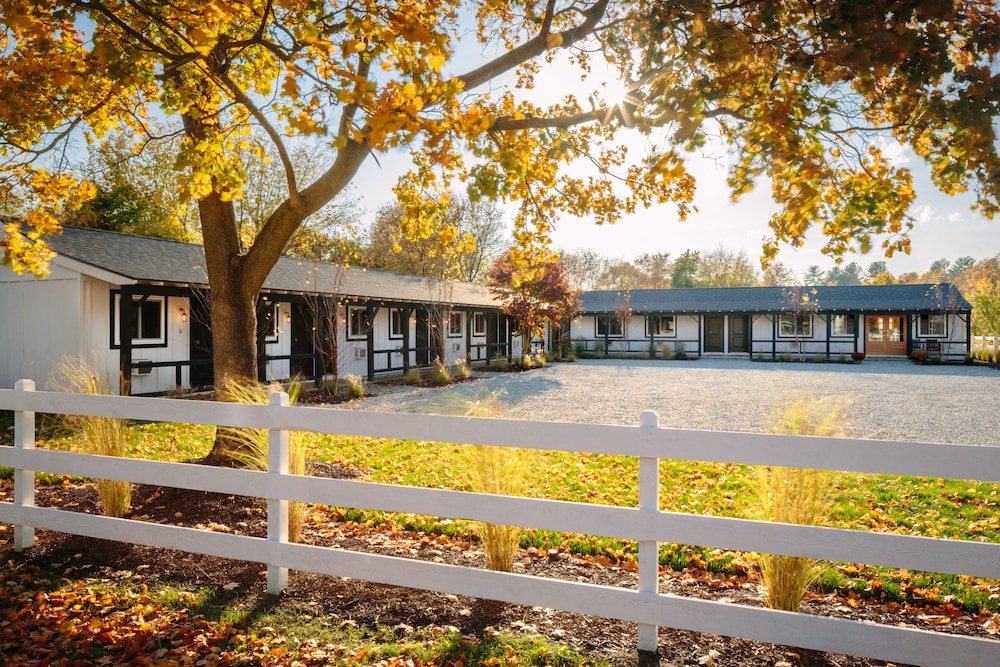 Brentwood Hotel - photo 13