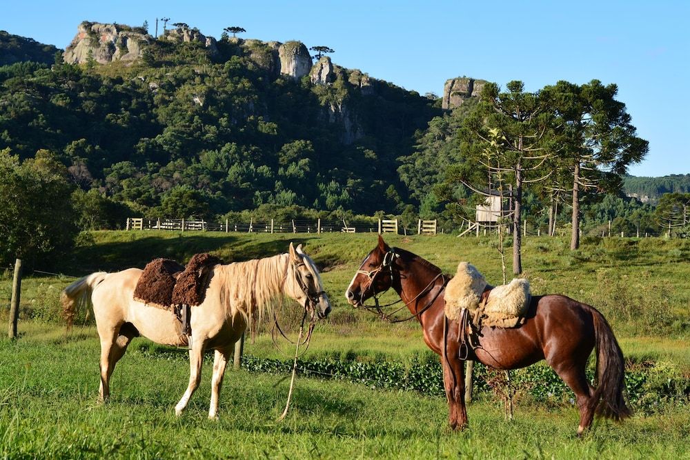 Hotel Fazenda Pedras Brancas in Lages, Brasil